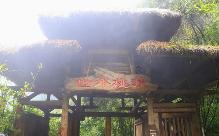 两部门：支持证券、保险、基金等行业在海南发展，这对养老行业有何帮助？游戏画面